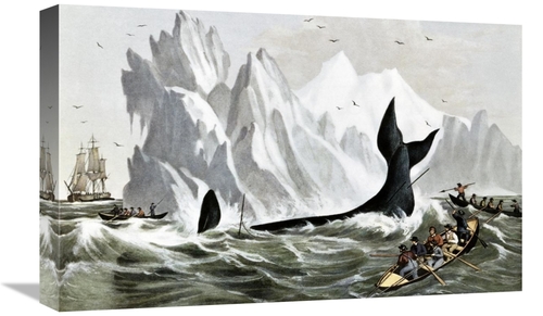 Global Gallery GCS-277171-22-142 22 in. Capturing the Whale Art Print 