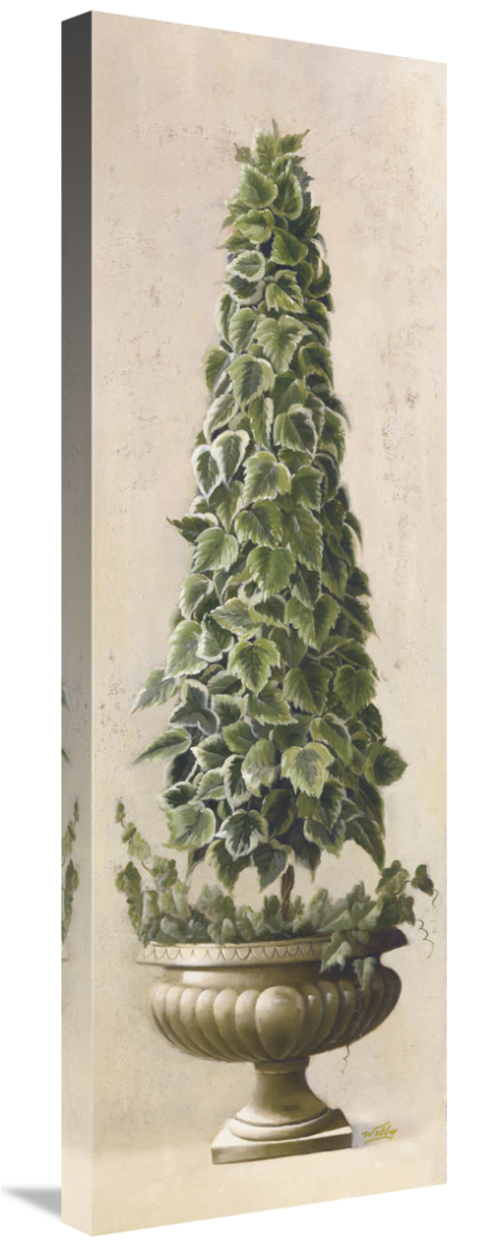 Global Gallery GCS-119340-1236-142 12 x 36 in. Florentine Topiary I Ar