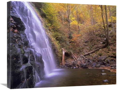 Global Gallery GCS-397085-2228-142 22 x 28 in. Crabtree Falls Cascadin