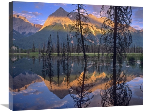 Global Gallery GCS-452153-2228-142 22 x 28 in. Chancellor Peak Reflect