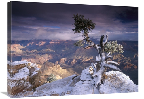 Global Gallery GCS-397177-2432-142 24 x 32 in. South Rim of Grand Cany
