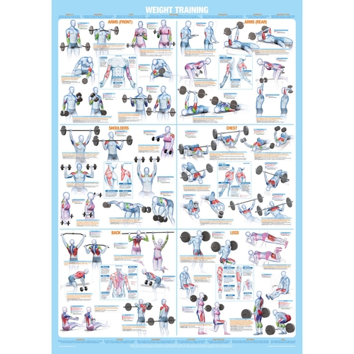 Weight Training Bodybuilding Exercise Poster Large A1 Size Laminated