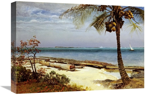 Global Gallery GCS-267712-22-142 22 in. Tropical Coast Art Print - Alb