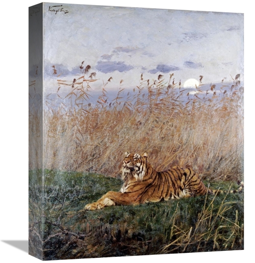 Global Gallery GCS-267516-16-142 16 in. Tiger in the Rushes Art Print 