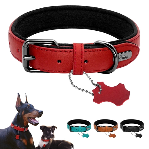 Didog Leather Dog Neoprene Padded Pet Collar Leash