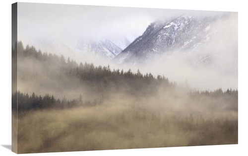 Global Gallery GCS-452842-2436-142 24 x 36 in. Fog in Old Growth Fores