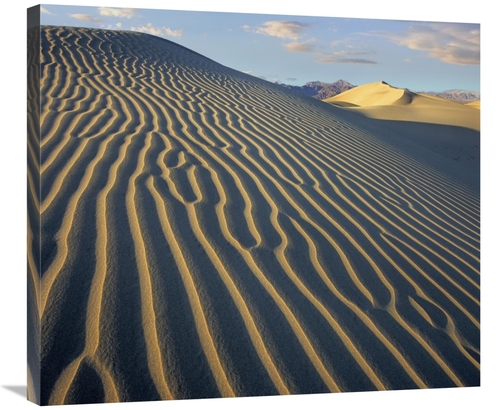 Global Gallery GCS-396657-30-142 30 in. Mesquite Flat Sand Dunes, 