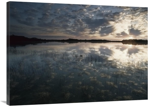 Global Gallery GCS-395913-3040-142 30 x 40 in. American Alligator in N