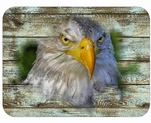 Eagle Bird Wild Life Flower Colorful Art Mousepad 7 x 9