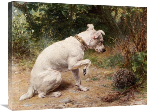 Global Gallery GCS-266574-30-142 30 in. A Prickly Problem Art Print - 