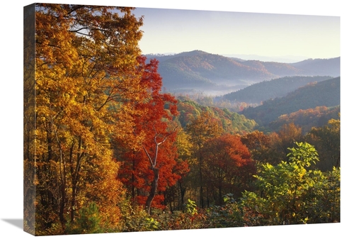 Global Gallery GCS-452015-1824-142 18 x 24 in. Autumn Foliage on Blue 