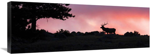 Global Gallery GCS-486608-36-142 36 in. Red Sky at Night Art Print - V