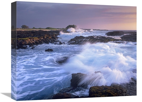 Global Gallery GCS-396678-1620-142 16 x 20 in. Waves Crashing on Rocky