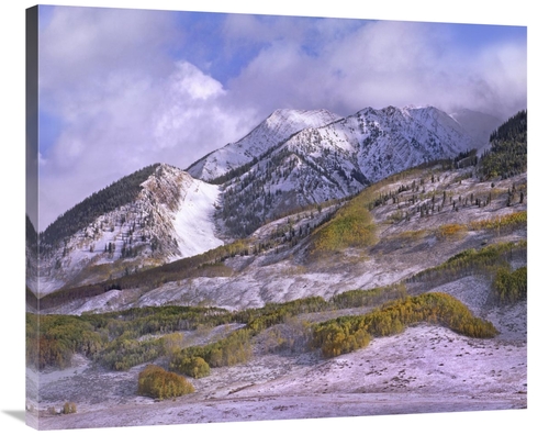 Global Gallery GCS-396180-36-142 36 in. Elk Mountains with Snow in Aut