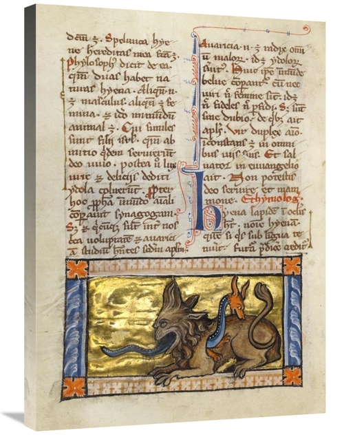 Global Gallery GCS-454753-2432-142 24 x 32 in. A Crocodile & a Hydrus 