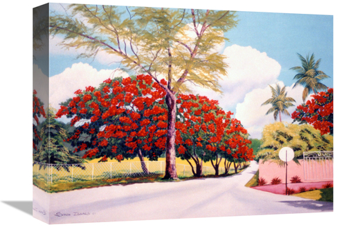 Global Gallery GCS-480440-1216-142 12 x 16 in. Poncianna Drive Art Pri