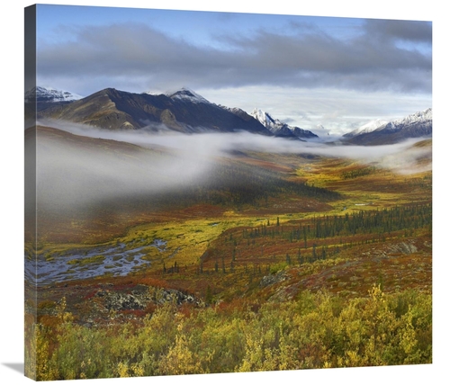 Global Gallery GCS-396904-30-142 30 in. Fog Over Tundra, Tombstone