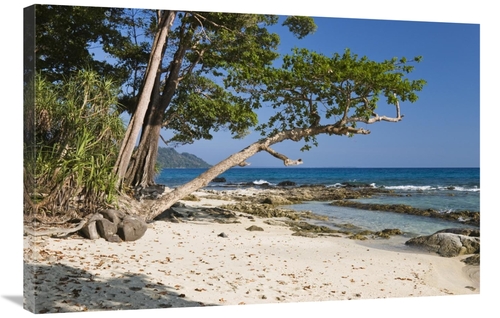 Global Gallery GCS-453651-2436-142 24 x 36 in. Coastal Rainforest,