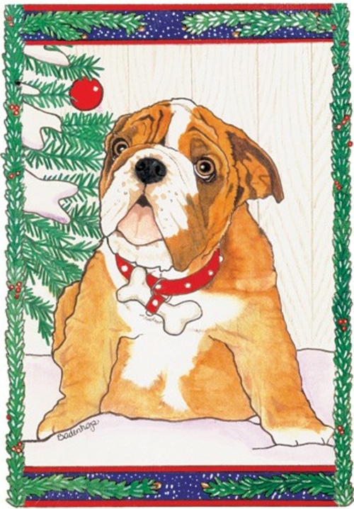 Pipsqueak Productions C925 Bulldog Pup Christmas Boxed Cards - Pack of