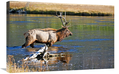 Global Gallery GCS-486495-30-142 30 in. The River Crossing Art Print -