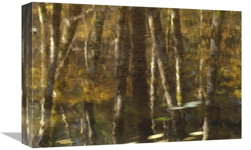 Global Gallery GCS-395738-1218-142 12 x 18 in. Reflection of Red Alder