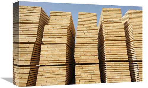 Global Gallery GCS-398104-1218-142 12 x 18 in. Logged Timber From the 