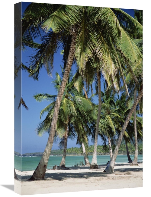 Global Gallery GCS-452417-1624-142 16 x 24 in. Coconut Palm Trees & Be