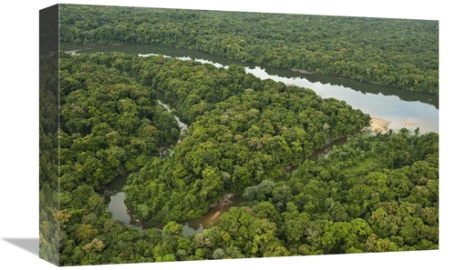 Global Gallery GCS-397908-1218-142 12 x 18 in. Essequibo River, Iw