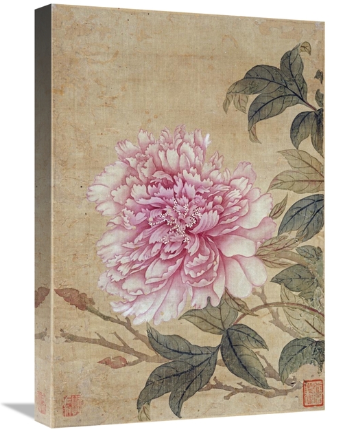 Global Gallery GCS-267287-22-142 22 in. Peony Art Print - Yun Shouping