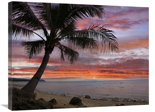 Global Gallery GCS-396587-2432-142 24 x 32 in. Coconut Palm at Sunset 