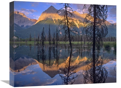 Global Gallery GCS-452153-1620-142 16 x 20 in. Chancellor Peak Reflect