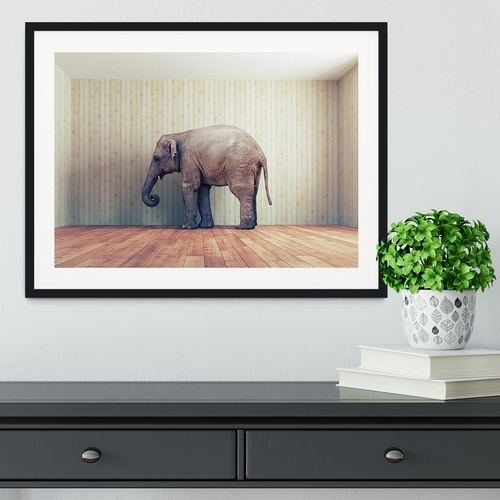 Lone elephant in the room Framed Print