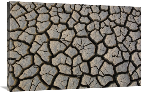 Global Gallery GCS-397934-2436-142 24 x 36 in. Cracked Mud on the Salt