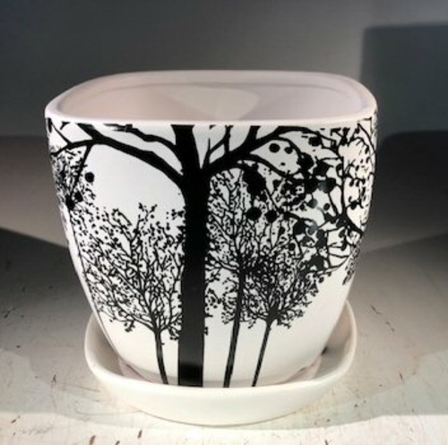 Tree Silhouette Bonsai Pot - SquareWith Attached Humidity / Drip