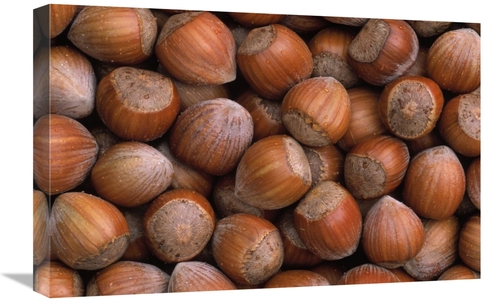 Global Gallery GCS-398204-1624-142 16 x 24 in. Hazelnut Europe Art Pri