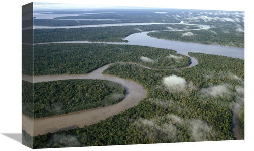 Global Gallery GCS-452783-1218-142 12 x 18 in. Aerial of Tropical Rain