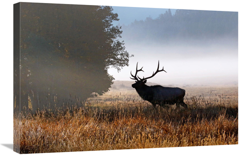 Global Gallery GCS-486502-30-142 30 in. Rolling Mist Art Print - Vic S