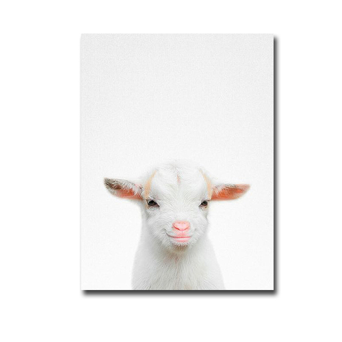Artistic Home Gallery 1216U495IG Baby Goat by Tai Prints Premium Galle