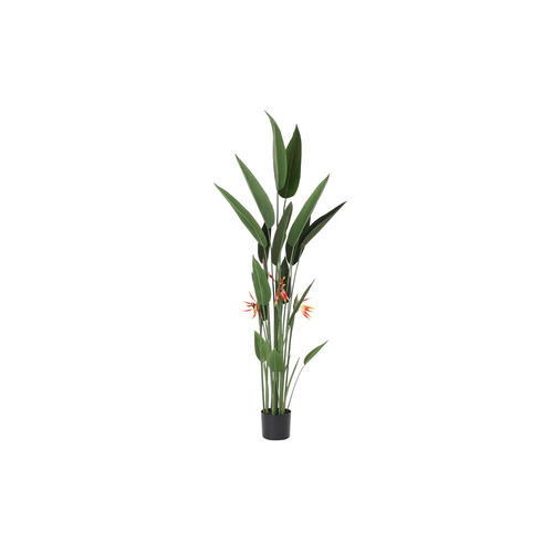 Decorative Plant DKD Home Decor 75 x 75 x 180 cm Orange Green Yellow