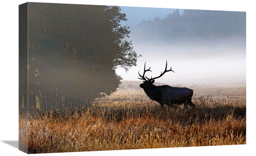 Global Gallery GCS-486502-22-142 22 in. Rolling Mist Art Print - Vic S