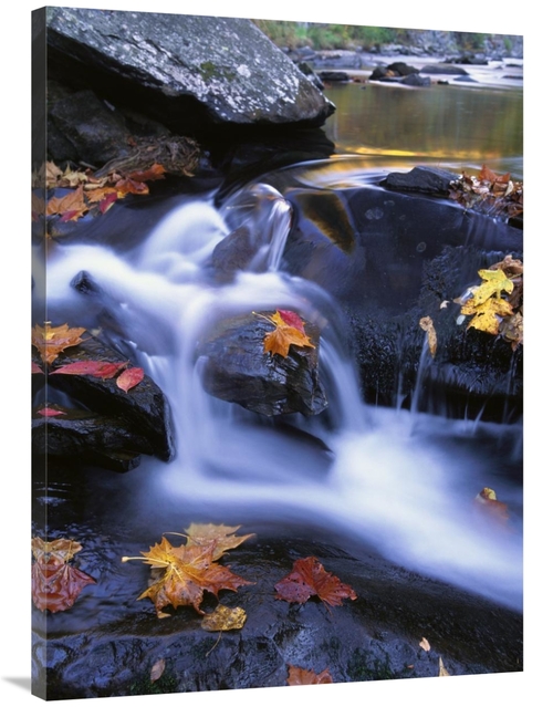 Global Gallery GCS-452018-3040-142 30 x 40 in. Autumn Leaves in Little