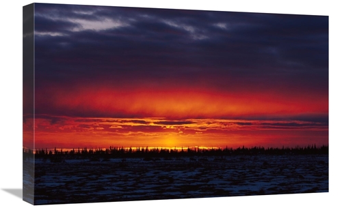 Global Gallery GCS-452497-1624-142 16 x 24 in. Sunset Over Boreal Fore