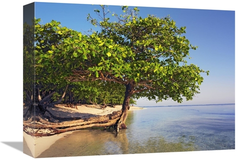 Global Gallery GCS-395964-1216-142 12 x 16 in. Roatan Island, Hond