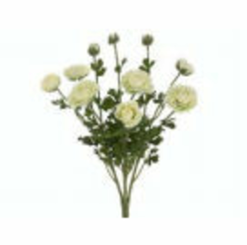 FBR549-CR 19 in.Ranunculus Bush Cream- Case of 6