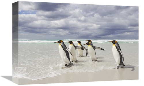 Global Gallery GCS-395362-1218-142 12 x 18 in. King Penguin Group on B