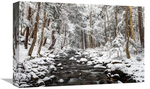 Global Gallery GCS-397597-1218-142 12 x 18 in. Stream in Winter, N