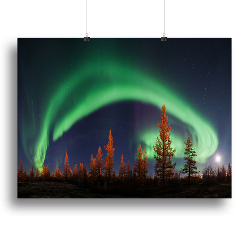 Aurora Polar lights Canvas Print or Poster