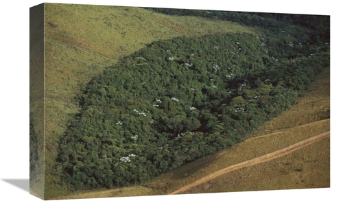 Global Gallery GCS-397745-1218-142 12 x 18 in. Patch of Remnant Rainfo