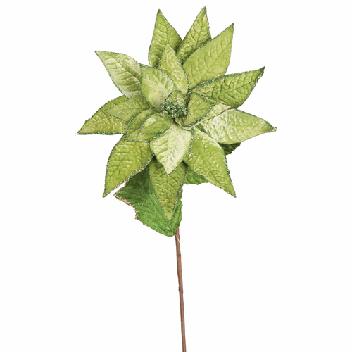 Vickerman E174913 24 in. Polyester Poinsettia Lime Green Flower Stem -