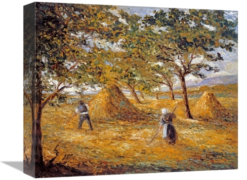 Global Gallery GCS-267754-16-142 16 in. Moisson Art Print - Emilio Bog